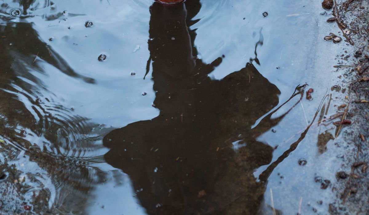 How to Choose a Waterproof Jacket for Fell Walking